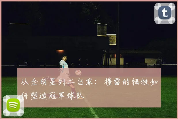 从全明星到二当家:穆雷的牺牲如何塑造冠军球队