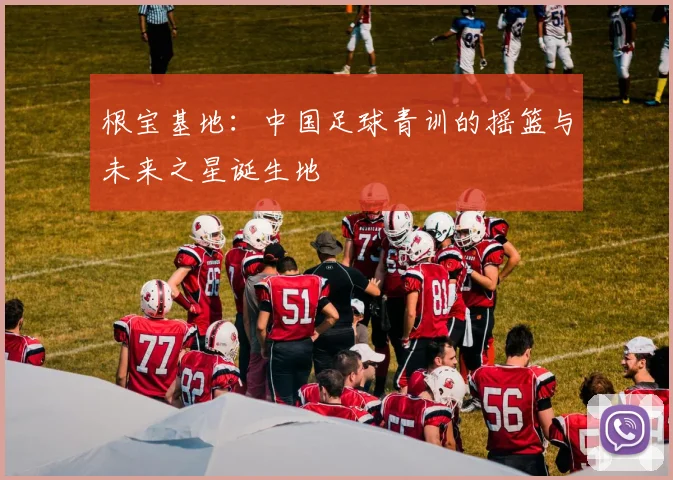 根宝基地：中国足球青训的摇篮与未来之星诞生地